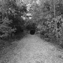 king's mill park