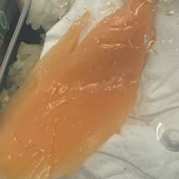 Salmon Salmon