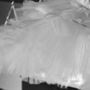 Photo of West Suburban Ballet Conservatory