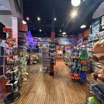 Stage Nine Entertainment - G. Willikers - Toy Stores Near Me - Sacramento, California