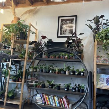 The Brown Thumb - Nurseries & Gardening Near Me - Denton, Texas The Brown Thumb - Nurseries & Gardening Near Me - Denton, Texas