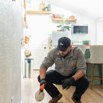 TriGuard Pest Control - Pest Control Near Me TriGuard Pest Control - Pest Control Near Me