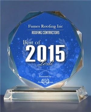 Slide of Fame's Roofing Inc