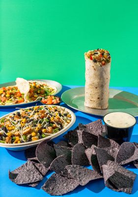 Pancheros Mexican Grill - Ann Arbor by null