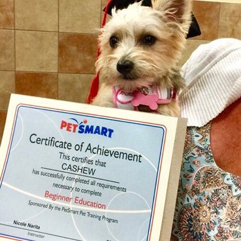 PetSmart - Pet Training Near Me - Huntington Beach, California PetSmart - Pet Training Near Me - Huntington Beach, California