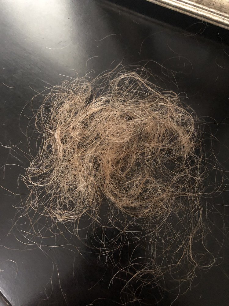 INDULGE IN BEAUTY SALON & SPA 48 Photos & 36 Reviews 771 A Freedom Blvd, Watsonville, CA Yelp