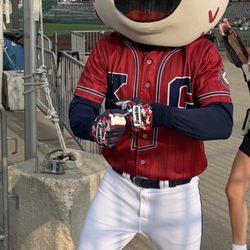 Can't beat fun at the ol' ballyard!