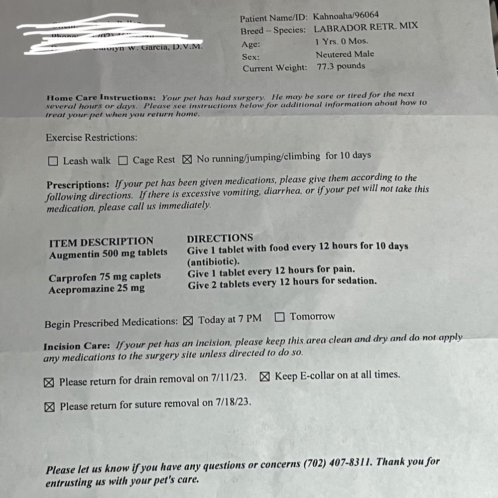 K-9 Kountry - Vet home care instructions number two. Originals will be posted soon. - Pet Training Near Me - Las Vegas, Nevada K-9 Kountry - Vet home care instructions number two. Originals will be posted soon. - Pet Training Near Me - Las Vegas, Nevada
