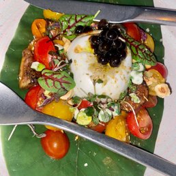 Burrata salad Burrata salad