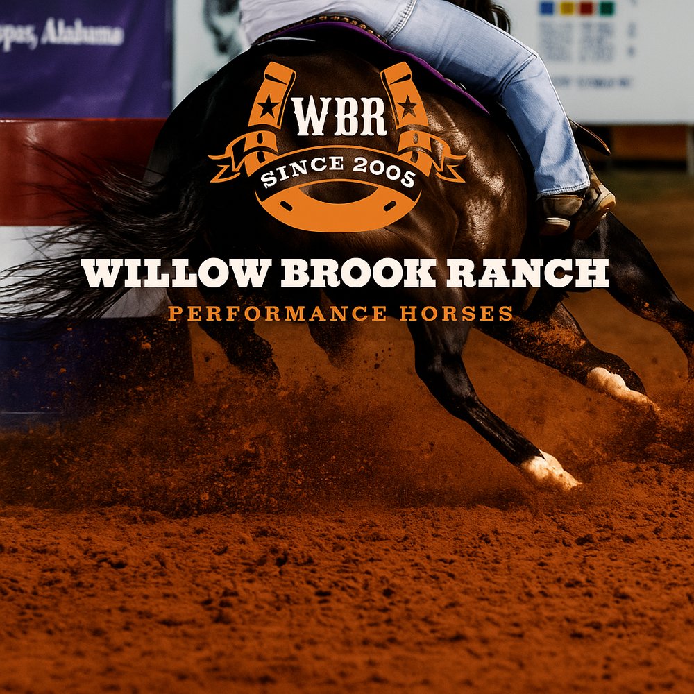 Willow Brook Ranch Performance Horses - equestrian in Dora, AL