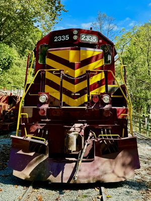 Great Smoky Mountains Railroad by null