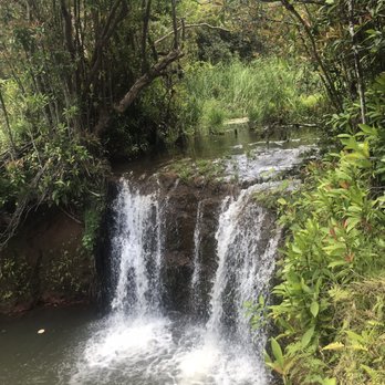 Princeville Ranch - Horseback Riding Near Me - Princeville, Hawaii