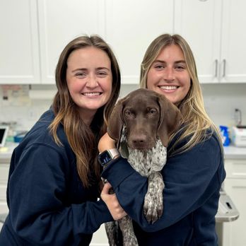 Marsh Tide Veterinary Hospital - This 14 week old GSP was showered with love from our veterinary techs at his puppy checkup appointment. - Veterinarians Near Me - Mount Pleasant, South Carolina Marsh Tide Veterinary Hospital - This 14 week old GSP was showered with love from our veterinary techs at his puppy checkup appointment. - Veterinarians Near Me - Mount Pleasant, South Carolina