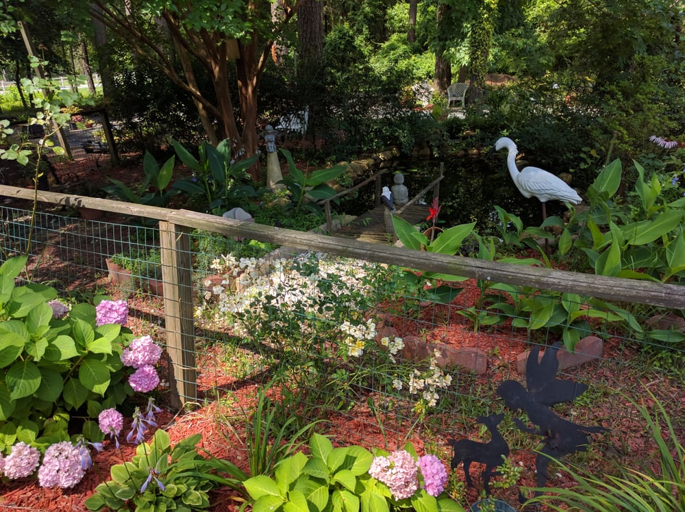 BIZZIELIZZIE’S BED AND BREAKFAST Updated October 2024 10 Photos