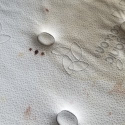 Short and Suite - Mattress in the master bedroom at 304 Gotham Private - managed by Short and Suite property management @shortandsuitebnb
DISGUSTING !!