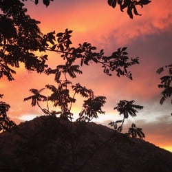 Ol Buckaroo - The view :)