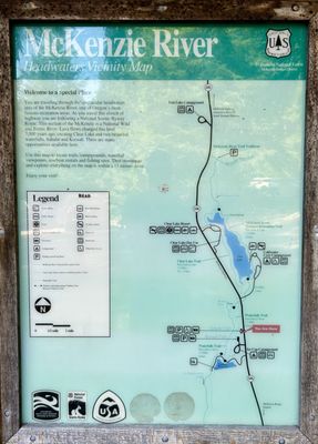 Sahalie Falls by null