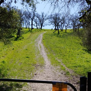 Bishop Ranch Regional Preserve - Steep hill right after the gate. There was another trail alongside of the stream on your right, but pretty muddy so we avoided. - Hiking Near Me