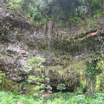 Smith's Tropical Paradise - The fern grotto - Botanical Gardens Near Me - Kapaa, Hawaii Smith's Tropical Paradise - The fern grotto - Botanical Gardens Near Me - Kapaa, Hawaii