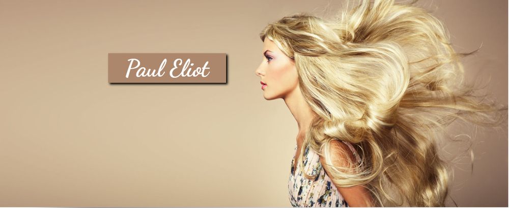 Paul Eliot Salon Logo