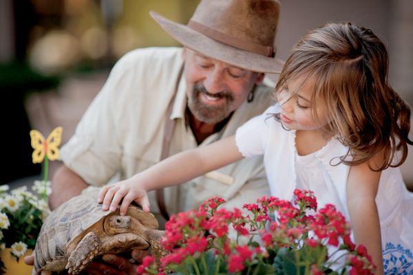 The Ritz-Carlton, Dove Mountain by null