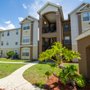 Palmetto Trace Apartments