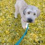 Photo of Cream City Critters, LLC