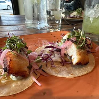 Fish Gaucho - Halibut tacos -- worth the premium pricing! - Mexican Near Me - Paso Robles, California