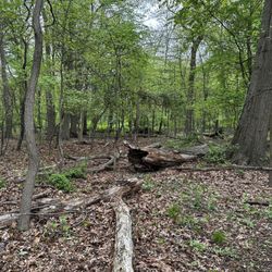 Goffle Brook Park
