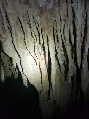 Cenote Chaak Tun by null