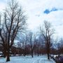 Photo of Bidwell Park