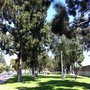 Photo of Coolidge Park