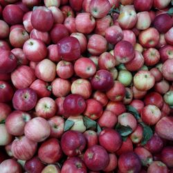 Chase City Produce