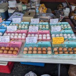 Monroe Farmer’s Market