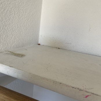Mazariegos Cleaning Service - Dirt and trash and dust on closet shelves after they were "done" with the job. - Home Cleaning Near Me Mazariegos Cleaning Service - Dirt and trash and dust on closet shelves after they were "done" with the job. - Home Cleaning Near Me