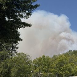 Hale Charter Academy - when wild fires were out they made us go outside in very bad air quality