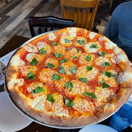 20" Demarco of Brooklyn