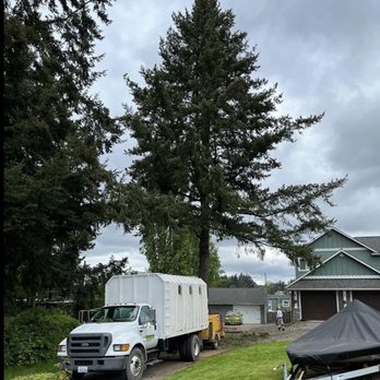 JMV Professional Tree Service - Tree Services Near Me - Covington, Washington JMV Professional Tree Service - Tree Services Near Me - Covington, Washington