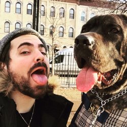 New York Dog Lovers - We do our best to make our dogs feel comfortable with our dog walkers