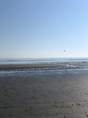 Kiawah Beachwalker Park by null