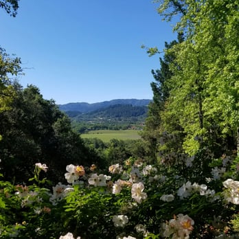 Rombauer Vineyards - View from the patio - Wineries Near Me - St. Helena, California