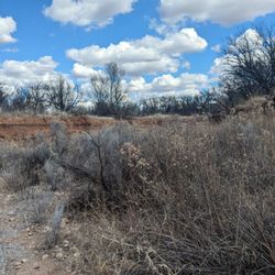 Murray Springs Clovis Site - Trail goes across wash