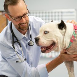 The Oncology Service - Richmond