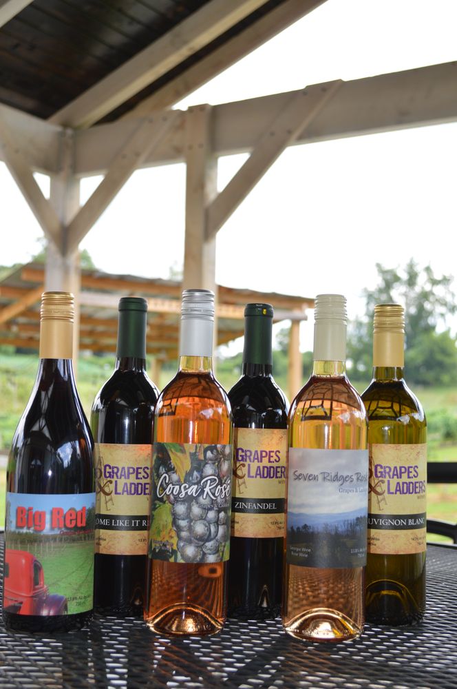 GRAPES AND LADDERS WINERY Updated September 2024 27 Photos & 14 Reviews 2317 Hwy 382 W