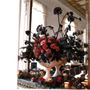 Photo of Cornucopia Flowers