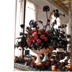 Cornucopia Flowers