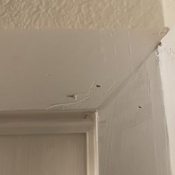American Built Renovations - Handyman Near Me