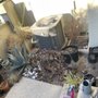 Photo of Cheap Landscape