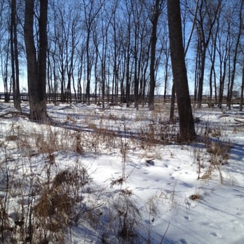 Times Beach Nature Preserve - Deer. Just hanging - Parks Near Me - Buffalo, New York Times Beach Nature Preserve - Deer. Just hanging - Parks Near Me - Buffalo, New York