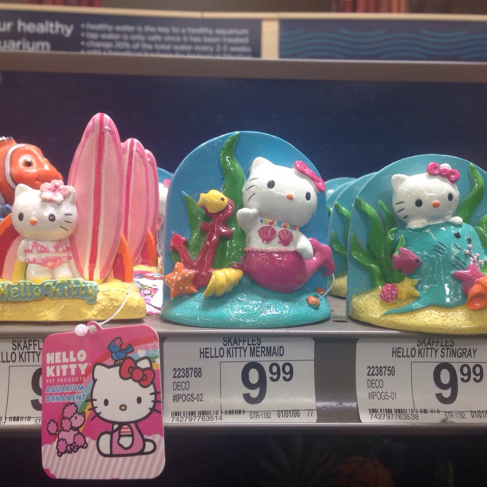 Petco - Lol - Pet Groomers Near Me - Kaneohe, Hawaii Petco - Lol - Pet Groomers Near Me - Kaneohe, Hawaii